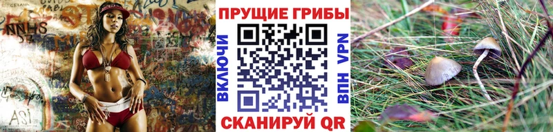 купить наркоту  площадка наркотические препараты  Псилоцибиновые грибы ЛСД  Старый Крым 